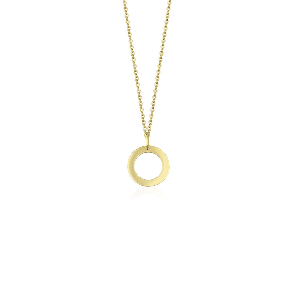 14 karaat gouden hanger met een open cirkel / rondje ontwerp